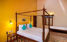 Rare Earth Farms And Homestay