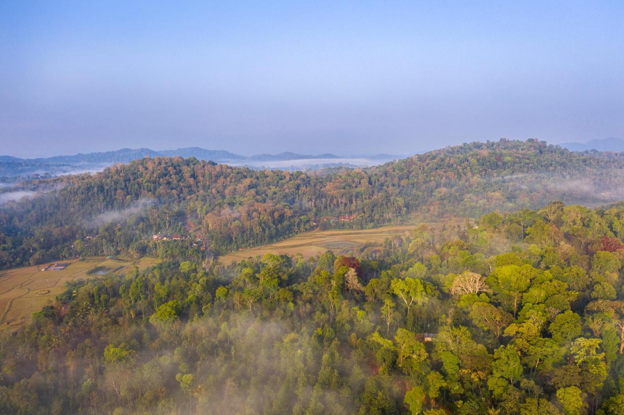 Ama Stays & Trails, Rare Earth Estate Madikeri Exterior photo